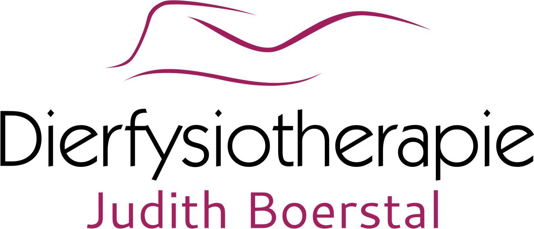 Dier Fysiotherapie Judith Boerstal