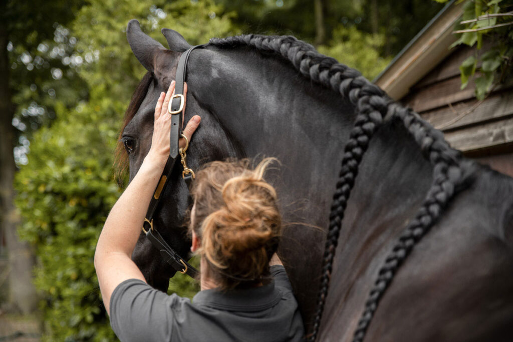 judith-boerstal-dierfysio-10