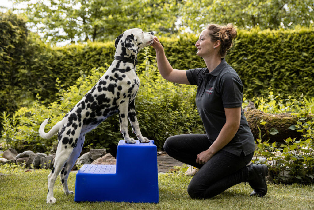 judith-boerstal-dierfysio-11