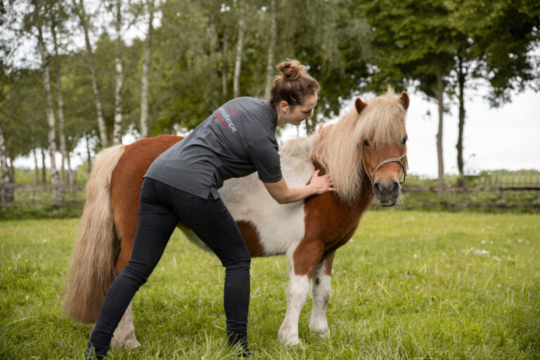 judith-boerstal-dierfysio-5