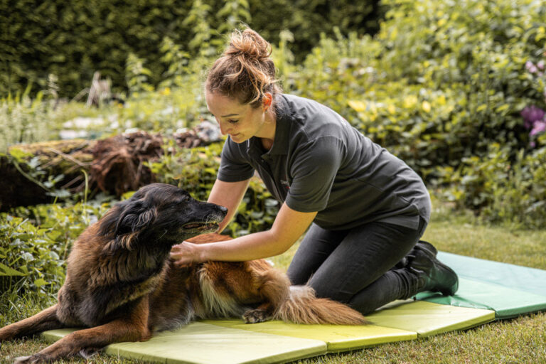 judith-boerstal-dierfysio-6