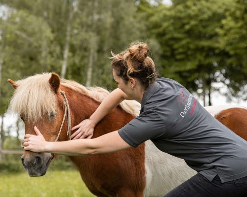judith-boerstal-dierfysio-4